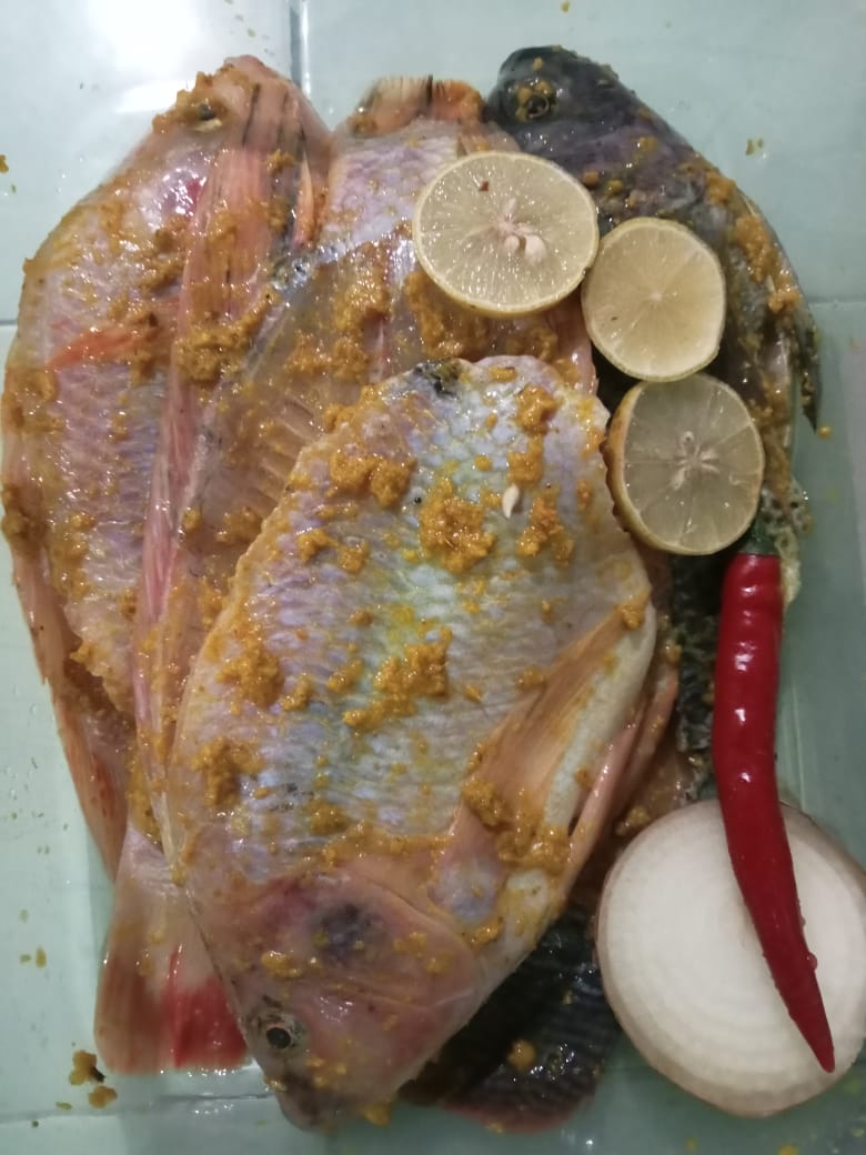 Nila merah Marinasi